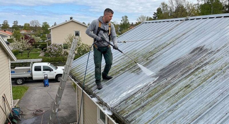 Roof Cleaning