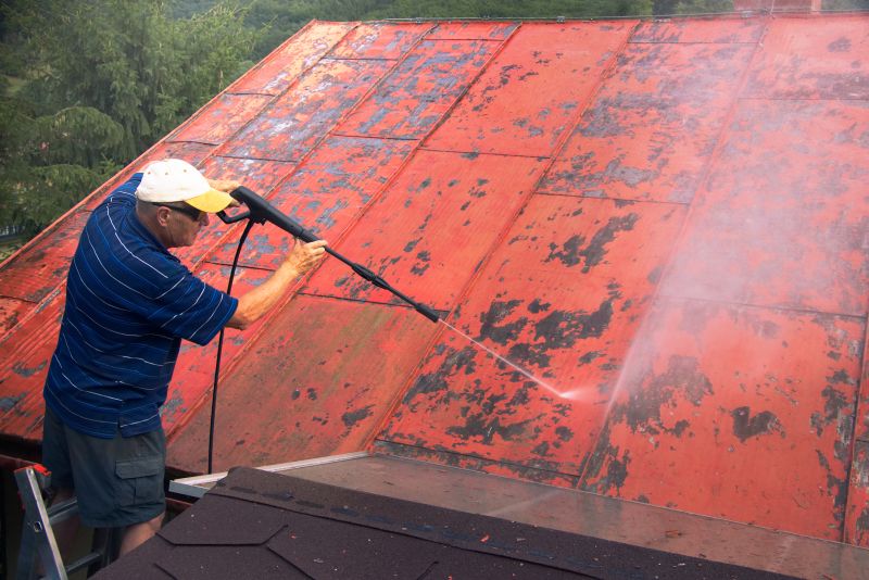 Fall Metal Roof Cleaning