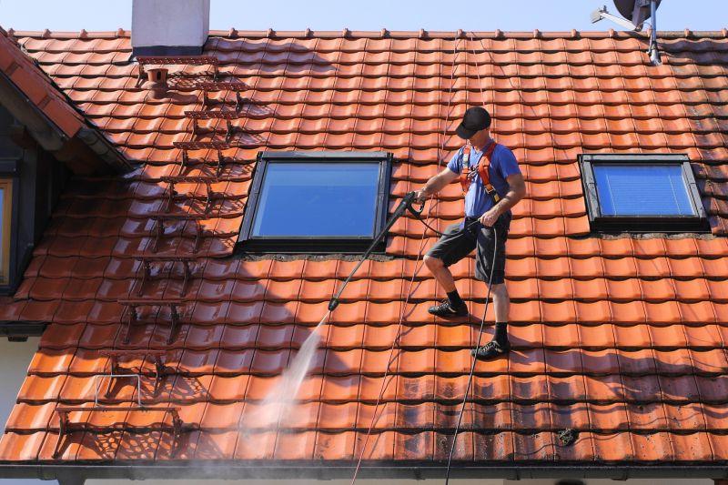 Expert Performing Roof Cleaning
